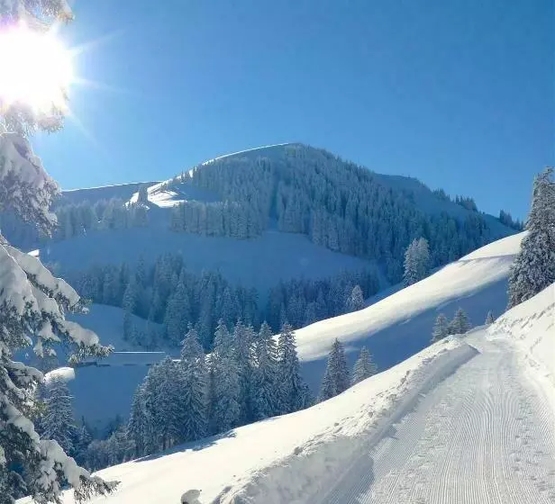 Retkeilymaja Rigi Klösterli