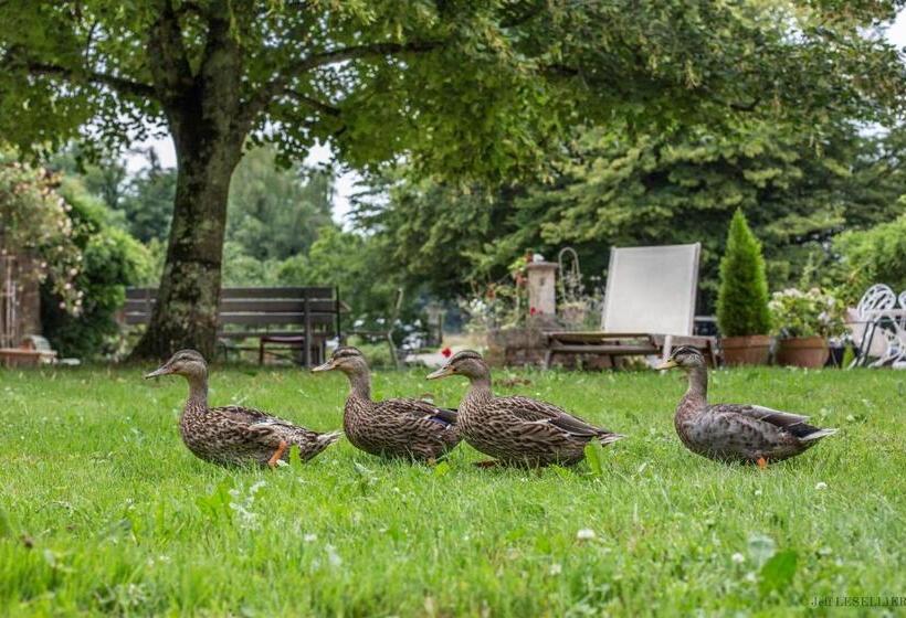 住宿加早餐 La Ferme De Marie Eugénie