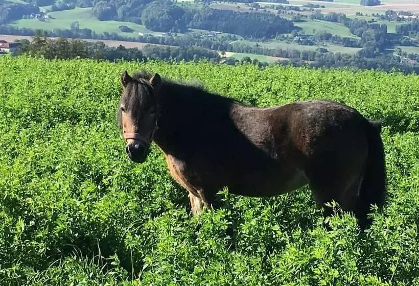 ホテル Hochhubergut