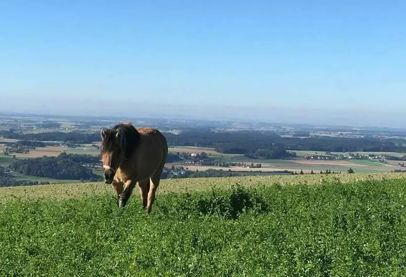 ホテル Hochhubergut