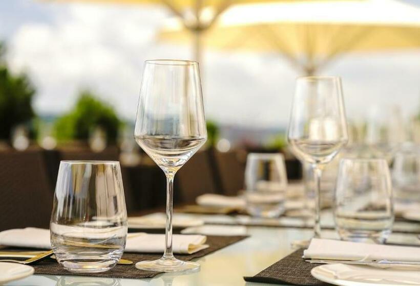 酒店 Hofgut Hohenkarpfen