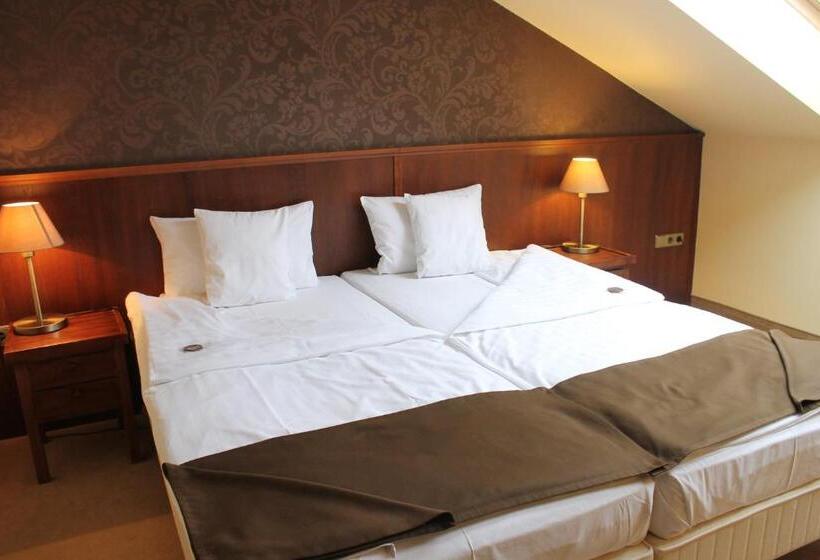 Hotel Szepia Bio And Art