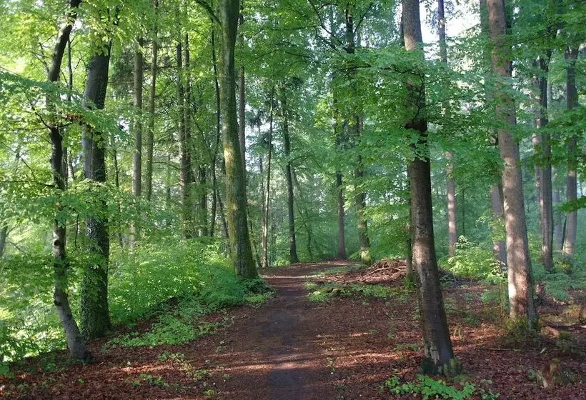 Hotelli Waldgasthof Buchenhain