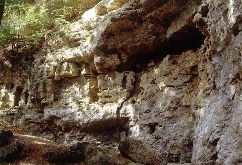 Hotelli Waldgasthof Buchenhain