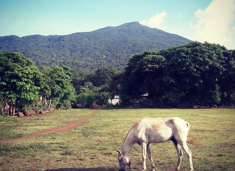 La Urraca Loca Hostel
