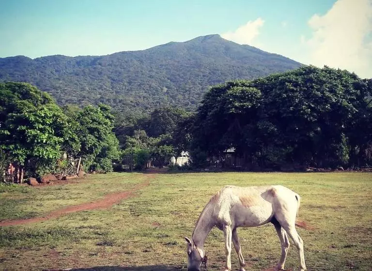 La Urraca Loca Hostel