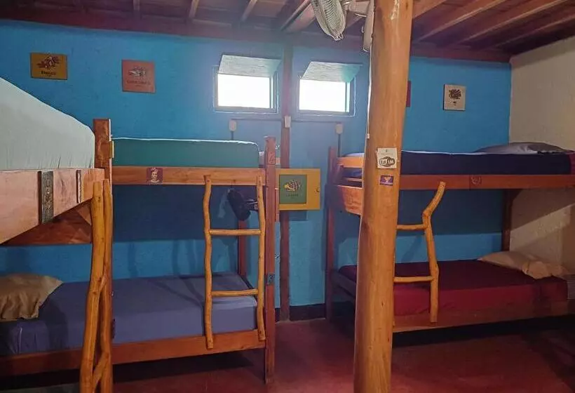 La Urraca Loca Hostel