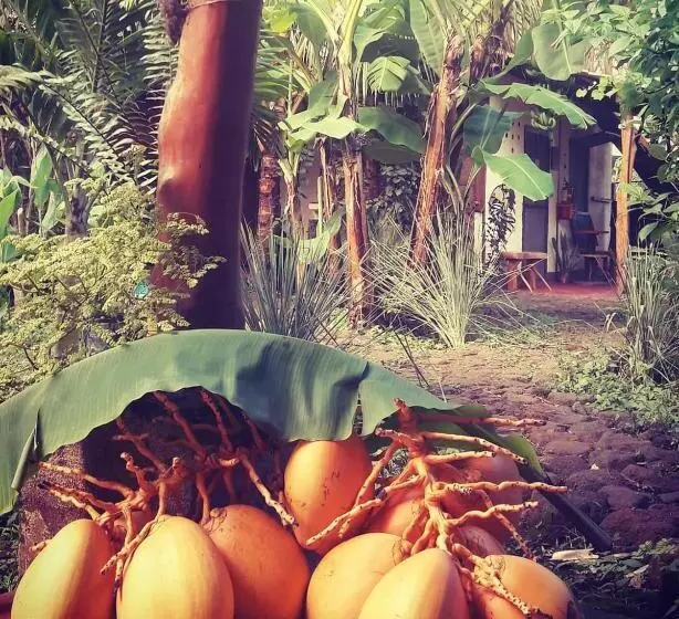 La Urraca Loca Hostel