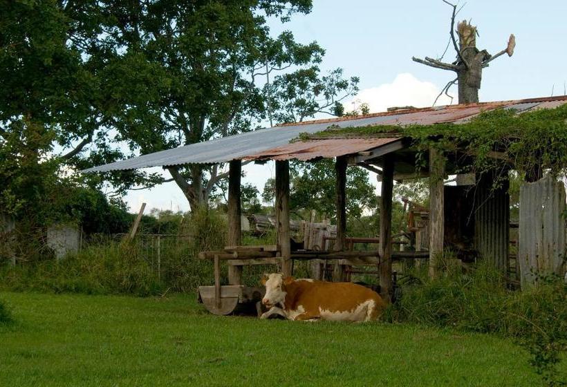 Lagoon Pocket Bed & Breakfast