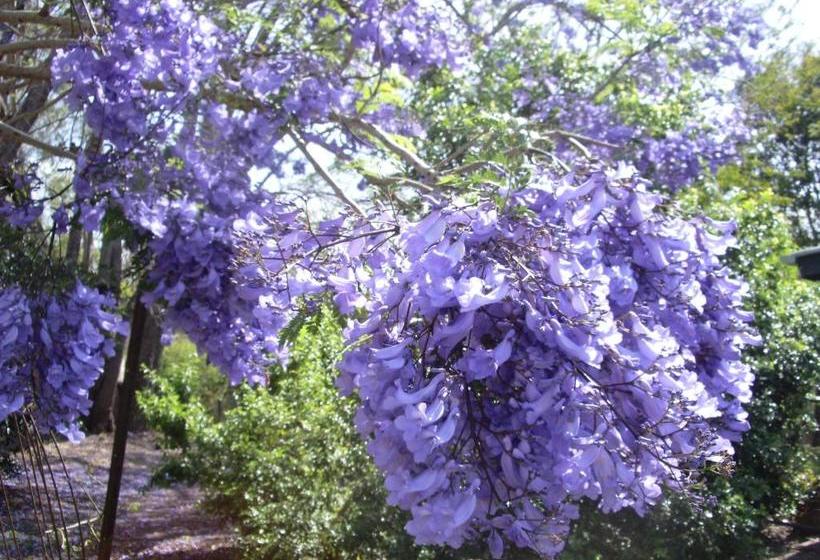 Lagoon Pocket Bed & Breakfast