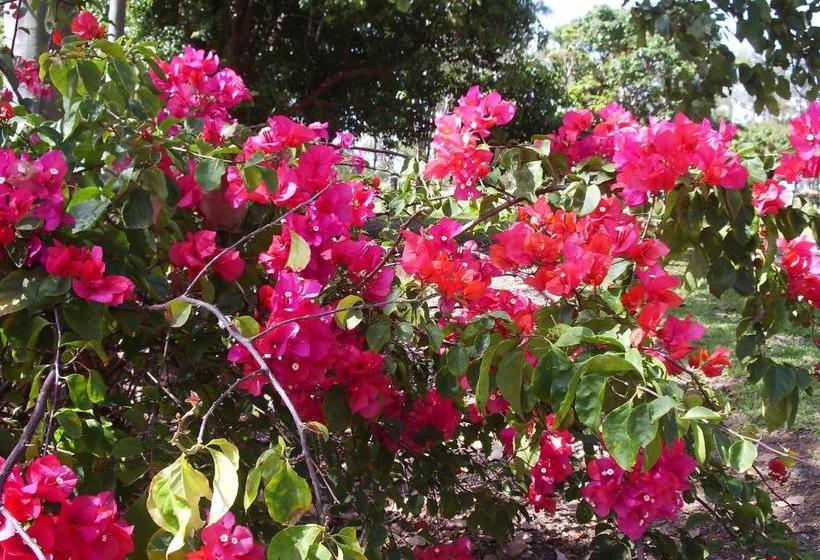 Lagoon Pocket Bed & Breakfast