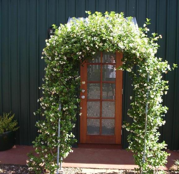 Lagoon Pocket Bed & Breakfast