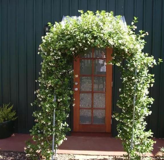 Lagoon Pocket Bed & Breakfast