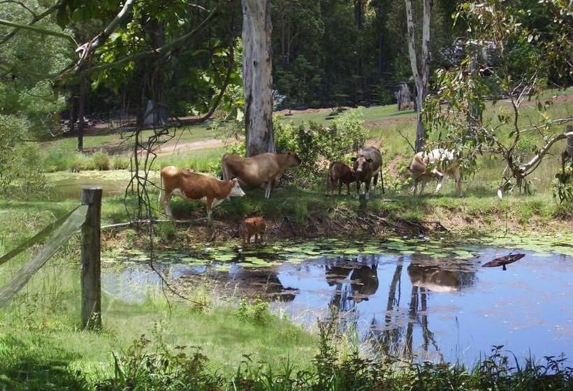 Lagoon Pocket Bed & Breakfast