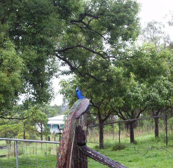Lagoon Pocket Bed & Breakfast