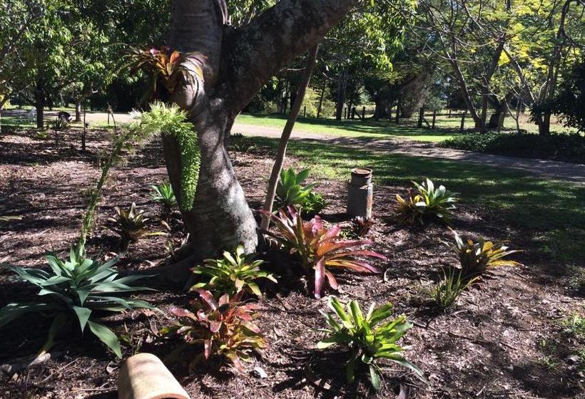 Lagoon Pocket Bed & Breakfast