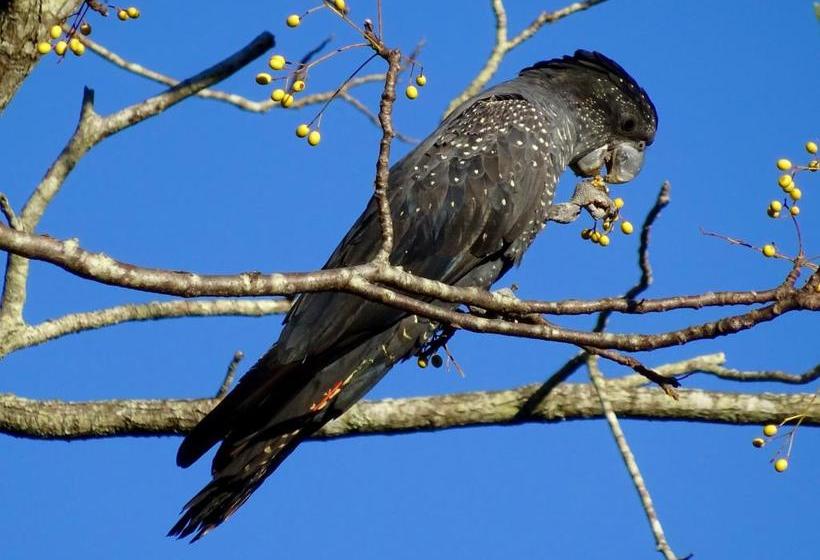 Lagoon Pocket Bed & Breakfast