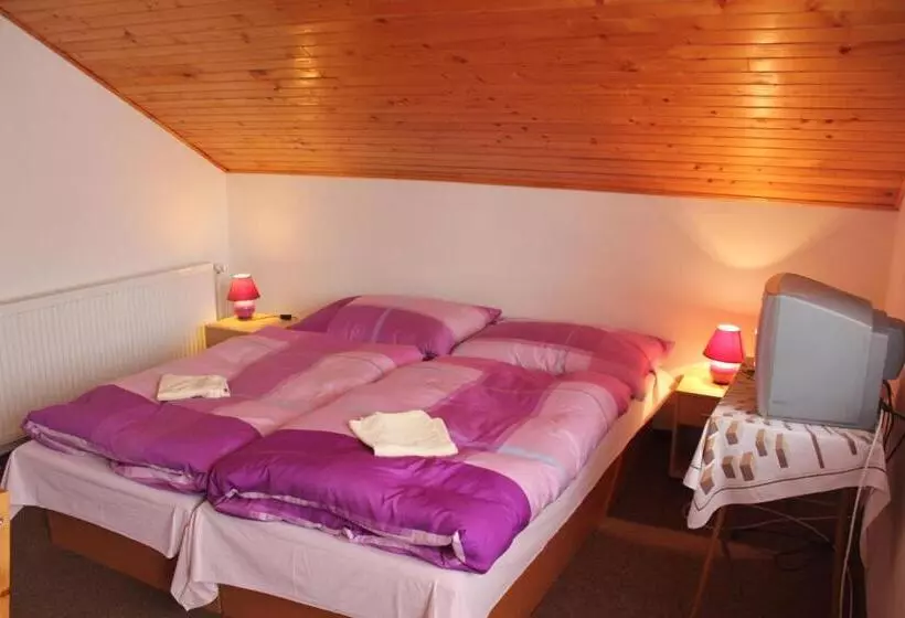 ペンション Apartmany U Janka Vinné Jazero