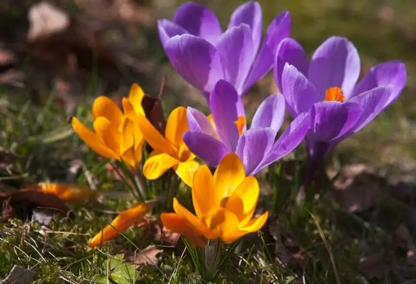 Majatalo Landhotel Zum Hammer