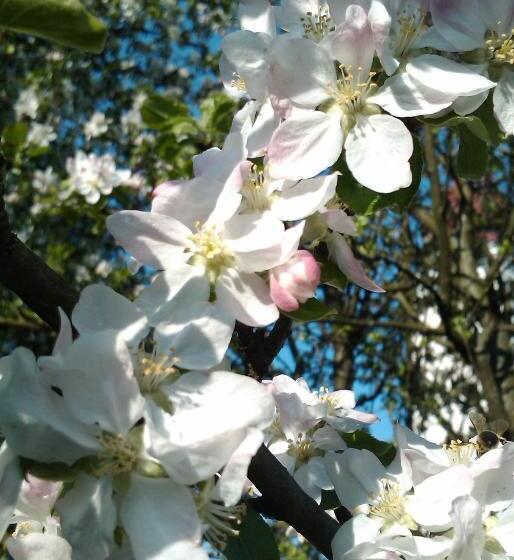 膳宿费 Landgasthof Winklehner