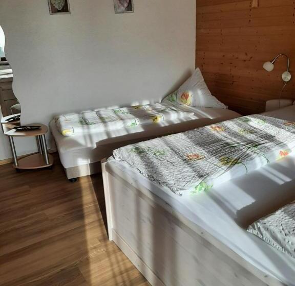 펜션 Landhaus Erna