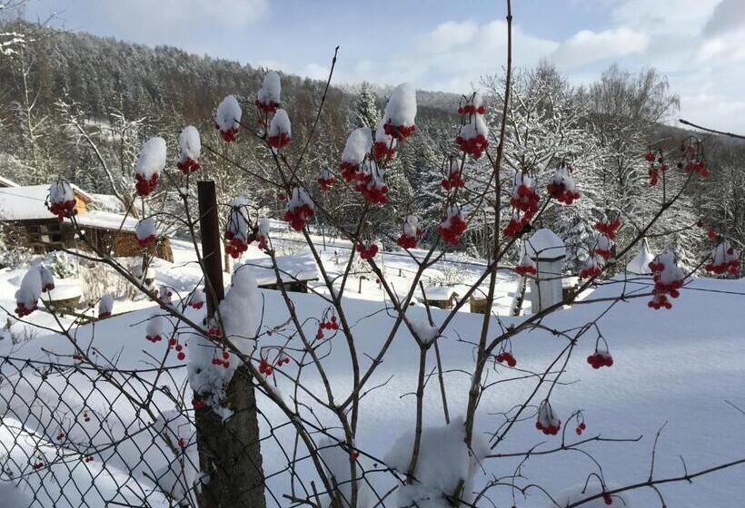 펜션 Landhaus Erna