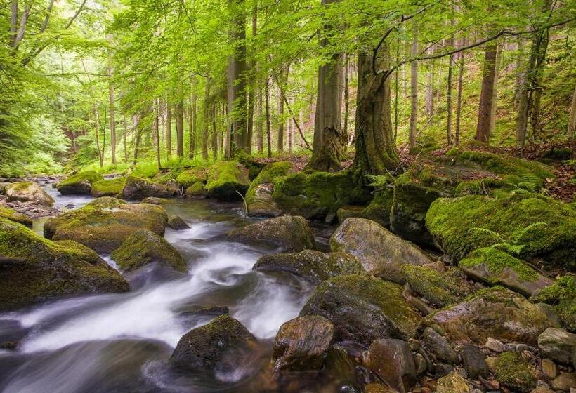 Пансион Landhotel Zum Hammer