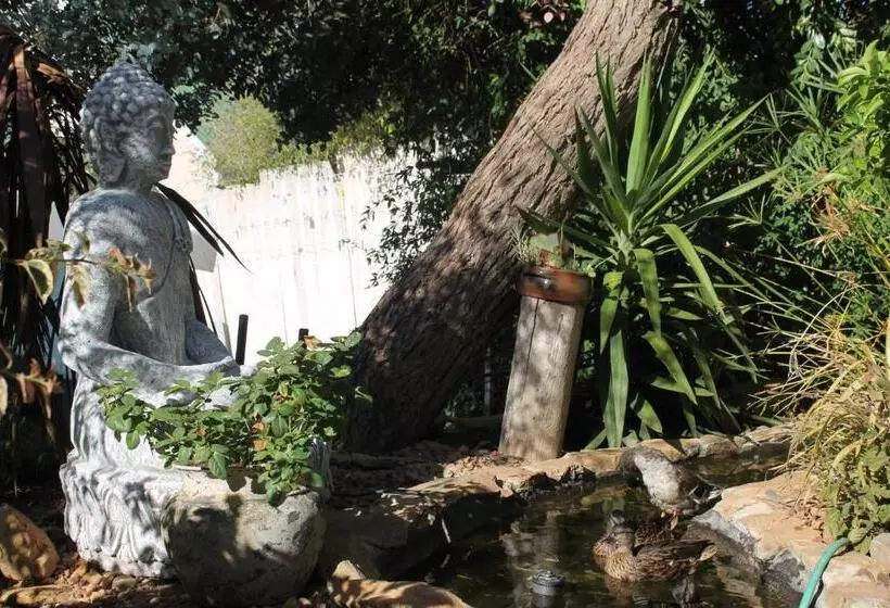 Majatalo Pascal's Of Napier