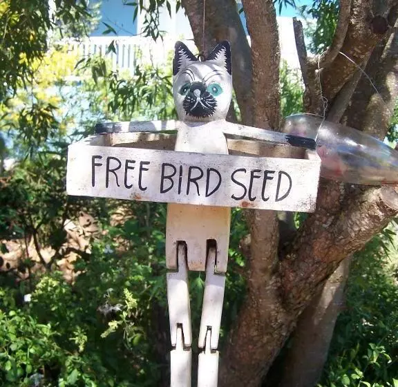 Majatalo Pascal's Of Napier