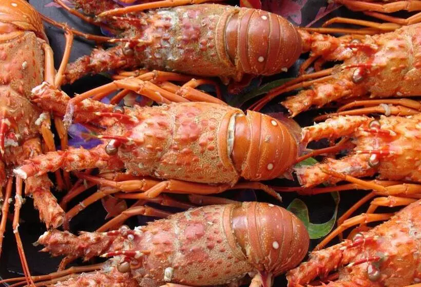 Majatalo Pousada Barra Do Mundaú