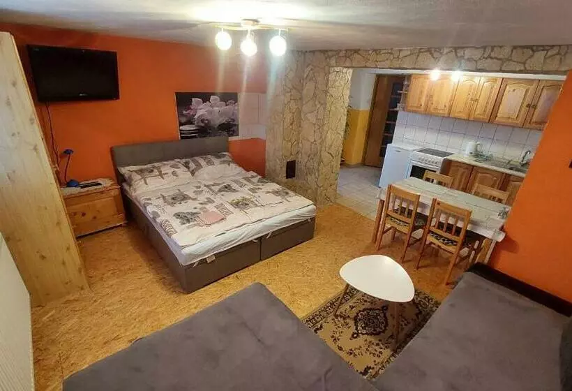 پانسیون Privat 498