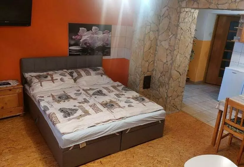 پانسیون Privat 498