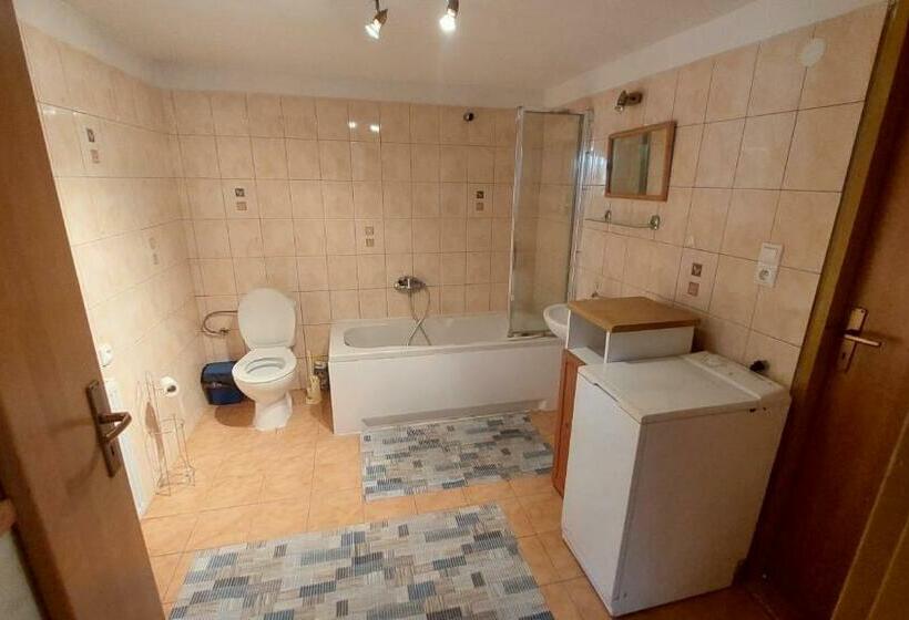 بنسيون Privat 498