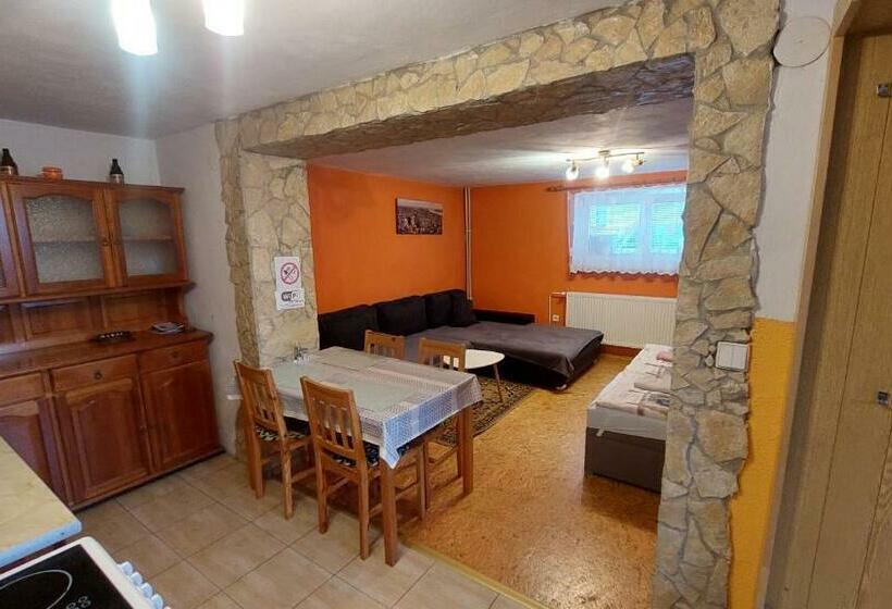 بنسيون Privat 498