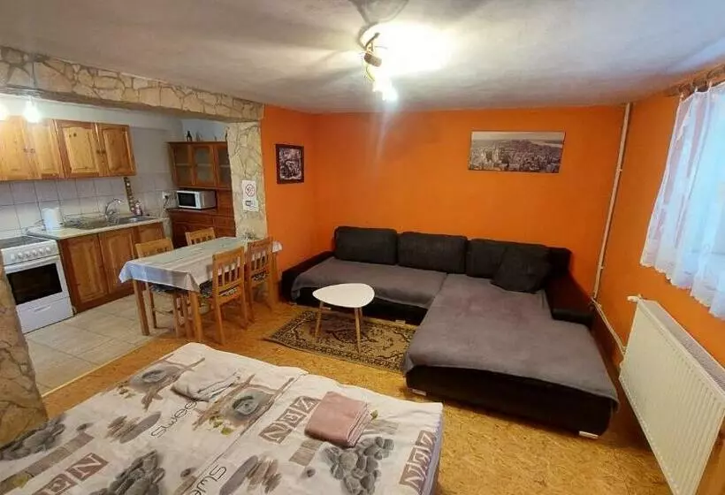 پانسیون Privat 498