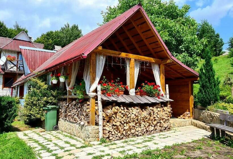 פנסיון Rakhiv Plai