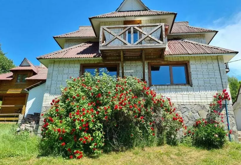 ペンション Rakhiv Plai