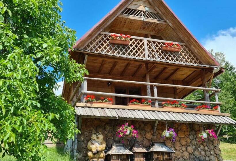 פנסיון Rakhiv Plai