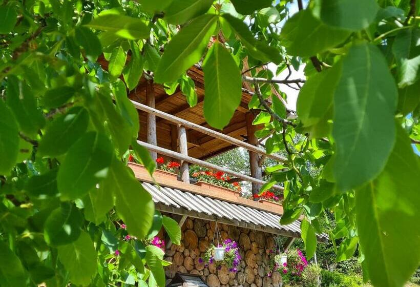 פנסיון Rakhiv Plai