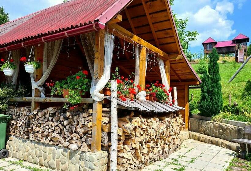 פנסיון Rakhiv Plai