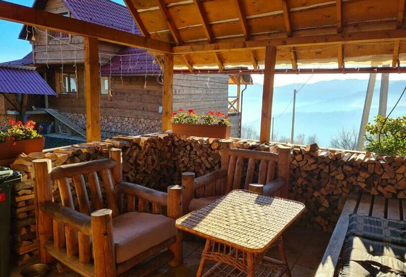 פנסיון Rakhiv Plai