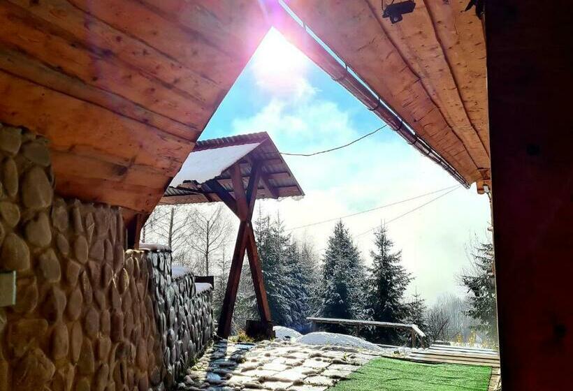 פנסיון Rakhiv Plai