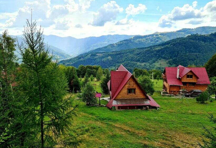 פנסיון Rakhiv Plai