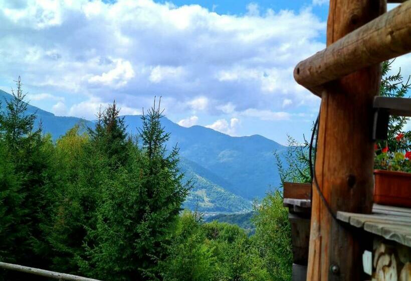 פנסיון Rakhiv Plai