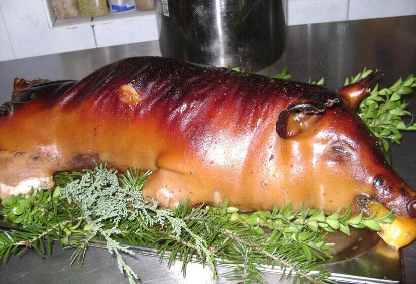 Pensiunea Popasul Iancului