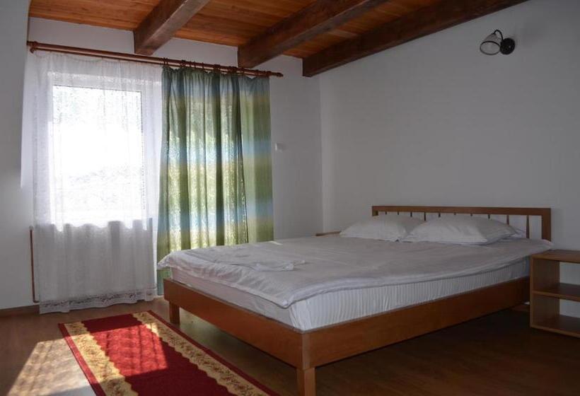 Pensiunea Popasul Iancului