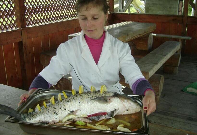 Pensiunea Popasul Iancului