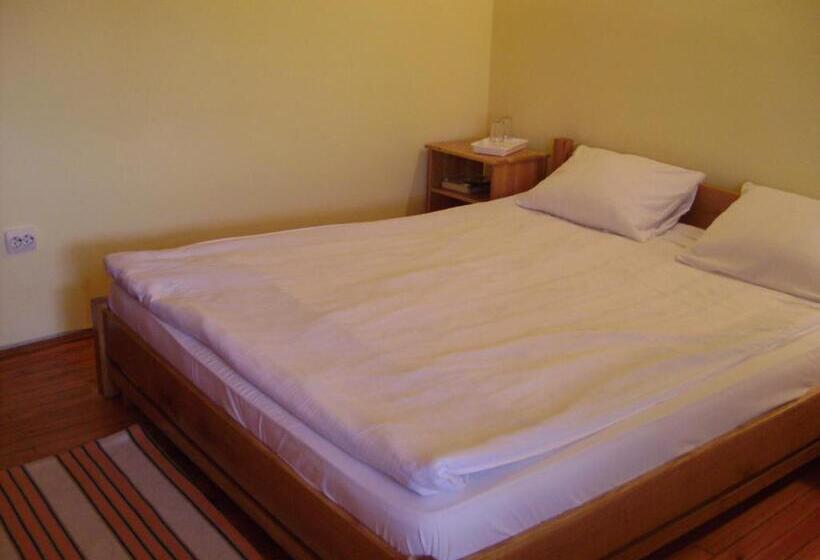 Pensiunea Popasul Iancului