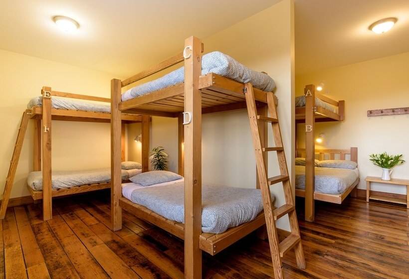 فندق صغير Riding Fool Accommodation