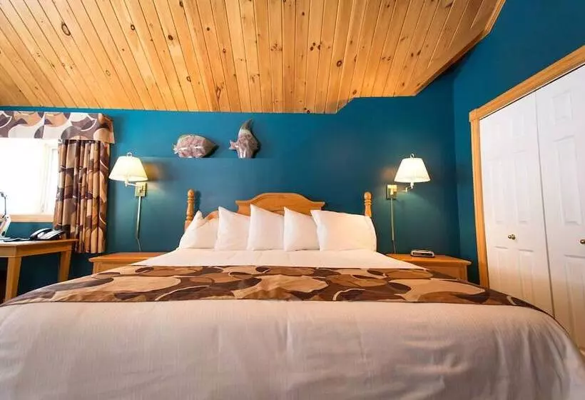 Retkeilymaja Sugar Hill Inn